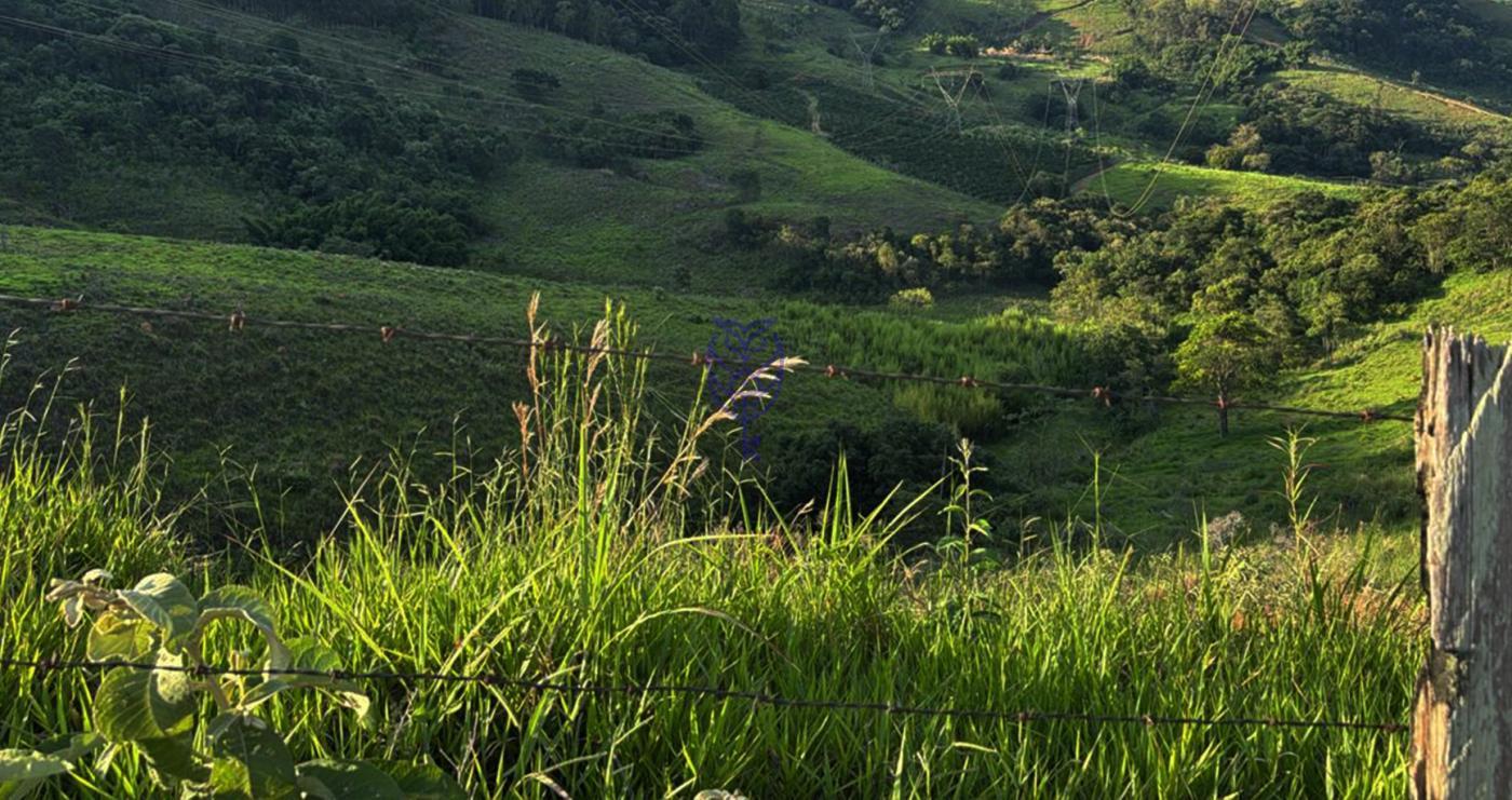 vista panormica Fazenda So Gabriel Serra Negra