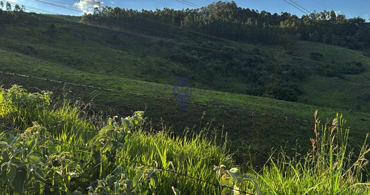 gleba  venda Fazenda So Gabriel Serra Negra