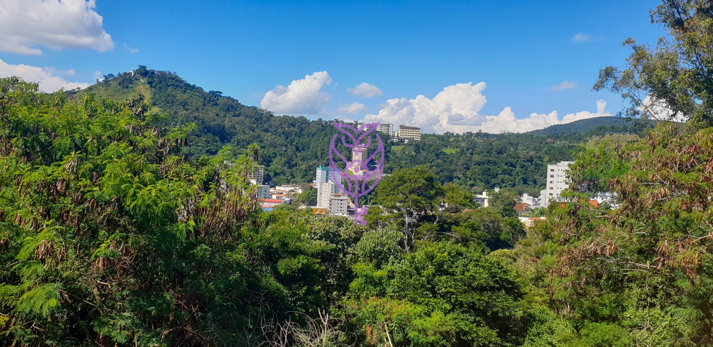 vista panormica Serra Negra