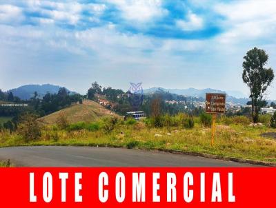 Terreno Comercial para Venda, em Serra Negra, bairro Refugio